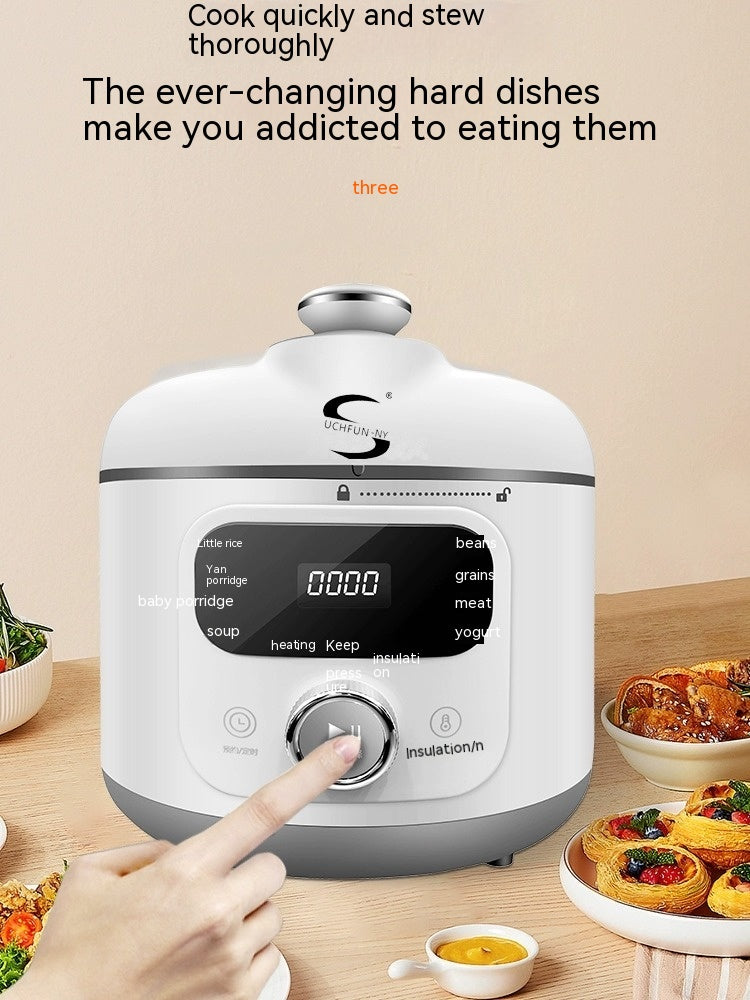110V V Electric Pressure Cooker